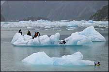 Tracy iceberg play