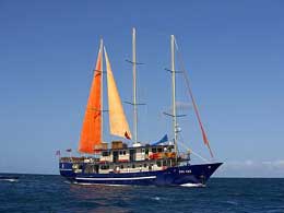 Tui Tai Adventure Cruises