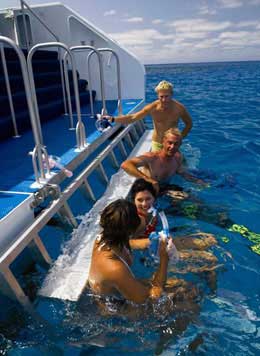 Tusa - Australia Liveaboards - Dive Discovery Australia