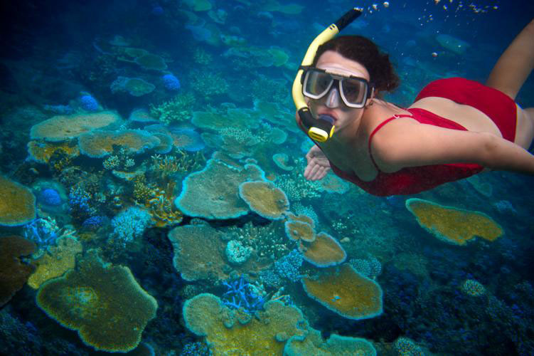 Vatulele Resort - Fiji Dive Resorts - Dive Discovery Fiji Islands