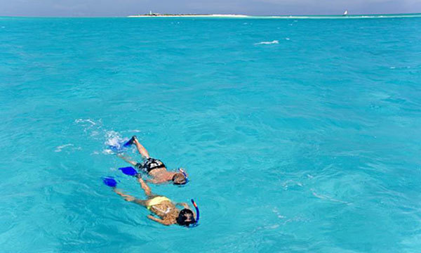 Snorkelers