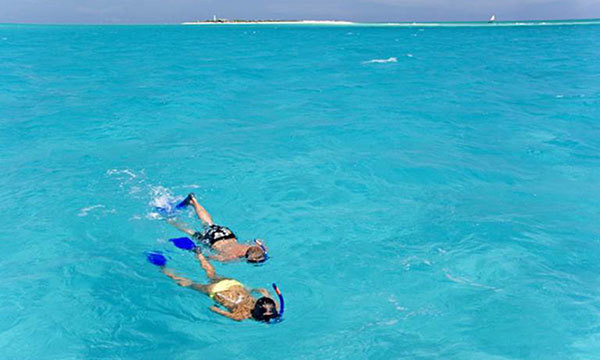 Snorkelers