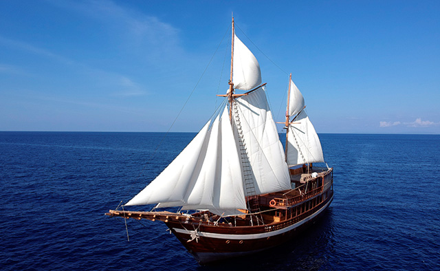 Coralia liveaboard