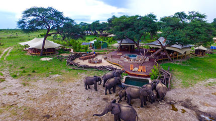 Somalisa Acacia - Zimbabwe safari camp