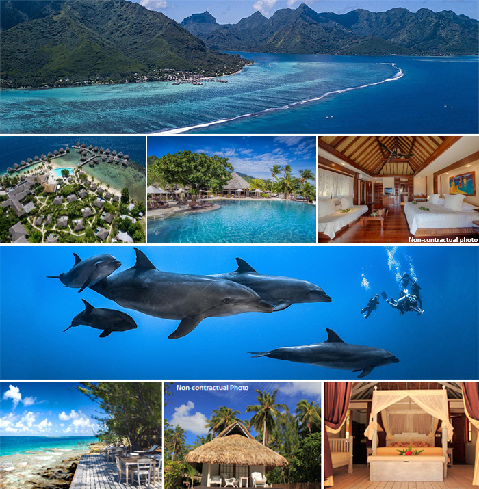 French Polynesia Special Offer