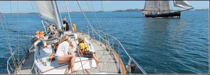 Day 12  -  Vigilant Classic Day Sailing in the Bay of Islands