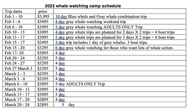 Fly in Gray Whale Watching at Laguna Ojo de Liebre, Mexico - Dates & Prices