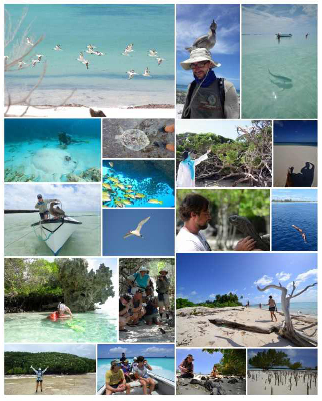 Aldabra Expedition Program - Seychelles Dive Tours
