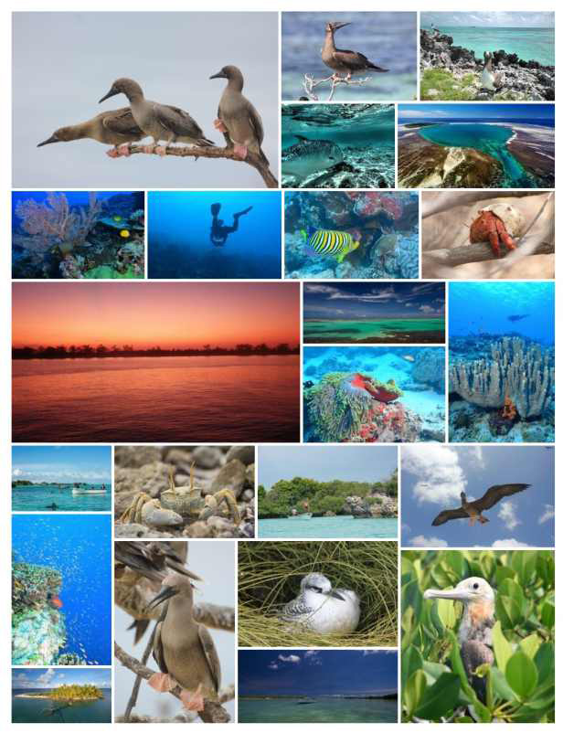 Aldabra Expedition Program - Seychelles Dive Tours
