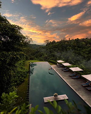 Alila Ubud - Resorts in Bali - Dive Discovery Indonesia