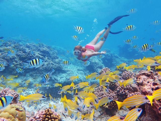 Freediving - Alphonse Island - Seychelles Dive Resort