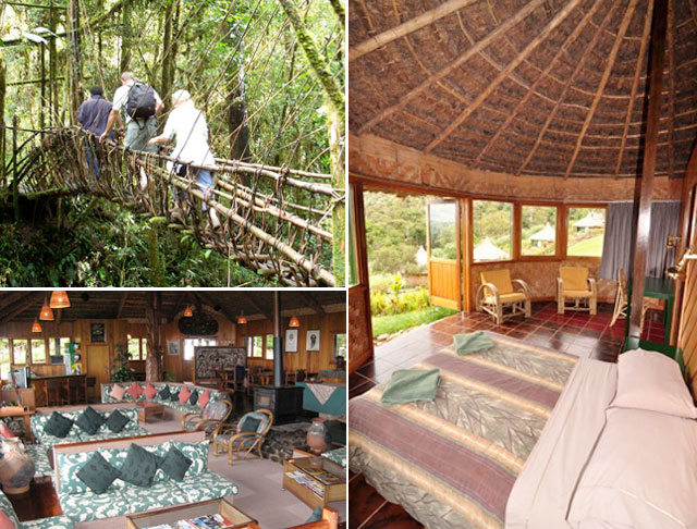Ambua Lodge - PNG PNG Resorts & Culture Lodges - Dive Discovery PNG