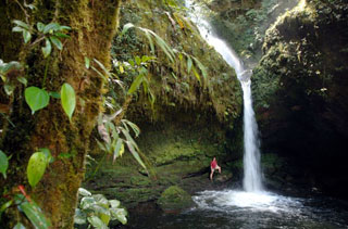 Ambua Lodge - PNG PNG Resorts & Culture Lodges - Dive Discovery PNG