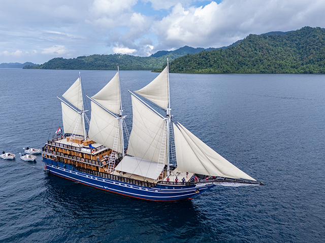MSV Amira - Indonesia Liveaboard - Dive Discovery Indonesia