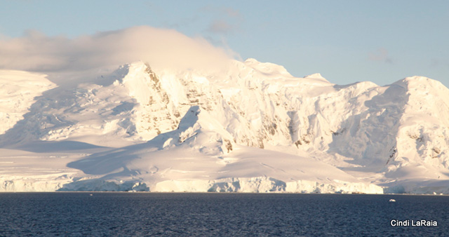 Antarctic Peninsula Basecamp, On board the M/V Plancius, March 3-14 2015 Trip Report - Page Four