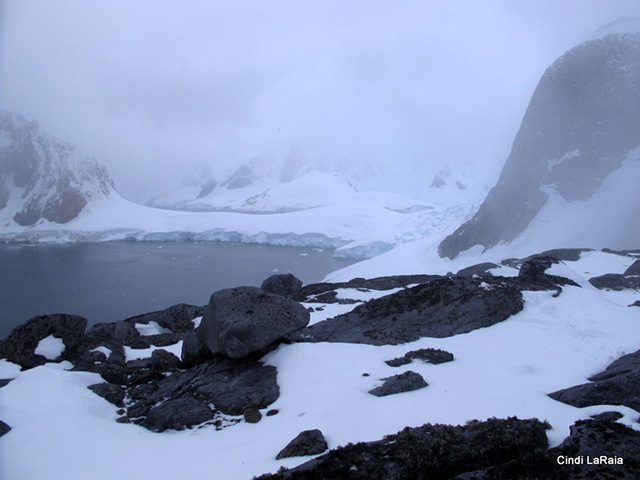 Antarctic Peninsula Basecamp, On board the M/V Plancius, March 3-14 2015 Trip Report - Page Six