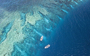 Astove Atoll - Seychelles Dive Resorts - Dive Discovery Seychelles