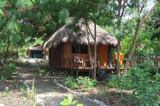 Bungalow Damsel - Atauro Dive Resort - Timor-Leste Dive Resort
