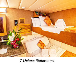 Deluxe stateroom - Azores - Philippines Liveaboard
