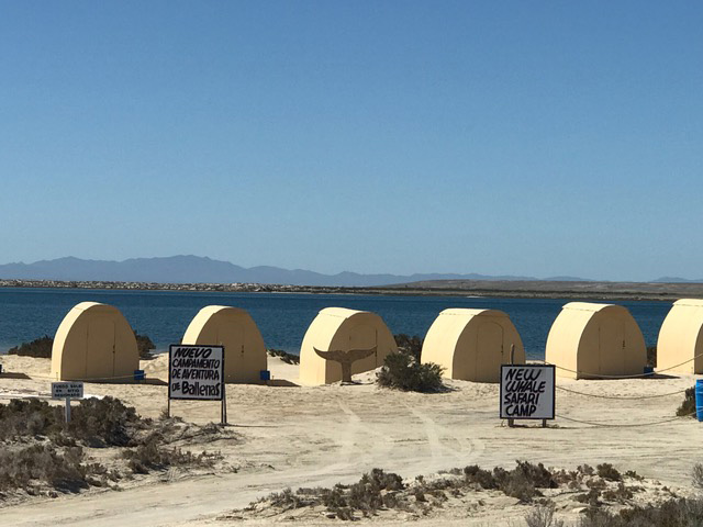 Accommodation - Gray Whale Watching at Laguna Ojo de Liebre, Mexico