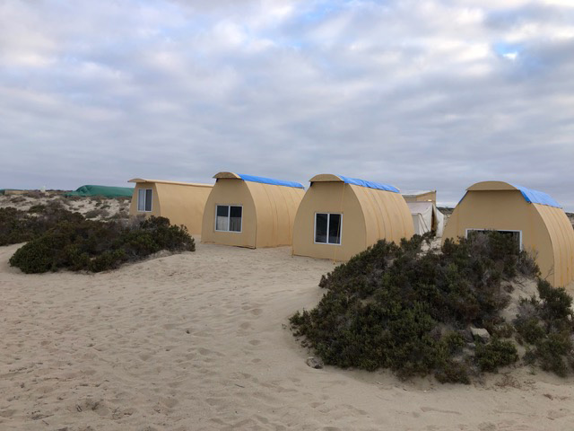 Camps - Gray Whale Watching at Laguna Ojo de Liebre, Mexico
