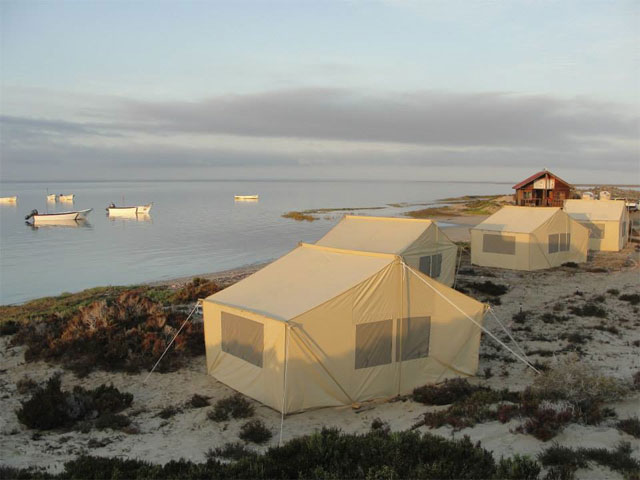 Tents - Whale Watching, Baja, Mexico - Dive Discovery