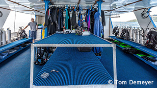 Interior - MV Bilikiki - Solomon Islands Liveaboard