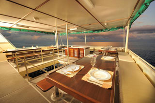 Black Manta - Indonesia Liveaboards - Dive Discovery Indonesia
