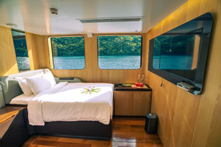 Deluxe Ocean view stateroom - M/Y  Black Pearl Explorer - Micronesia Liveaboard
