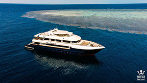 Red Sea Blue Force 3 - Red Sea Liveaboards - Dive Discovery Red Sea