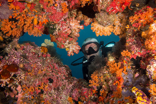 Beautiful soft corals at Boo Jendela