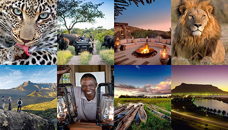 14 Nights Botswana & Cape Town South Africa, May 8-22 2027 Group Trip