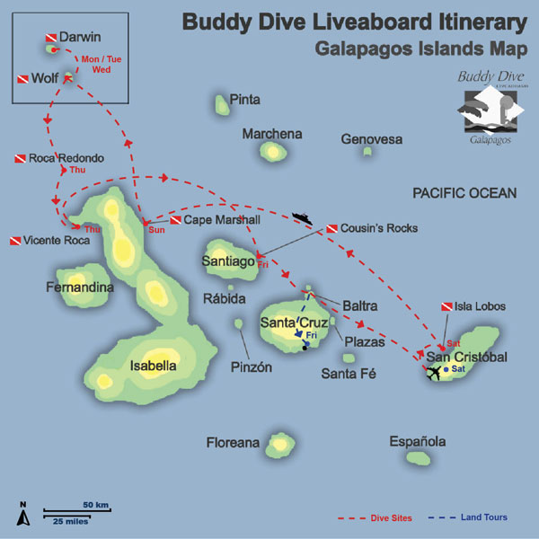M.Y. Wolf Buddy & M.Y. Darwin Buddy - Galapagos Live Aboards - Dive Discovery Galapagos
