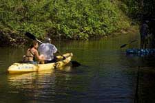 Sea and River Kayaking in COIBA National Park