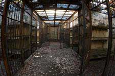 The Penal Colony at COIBA National Park