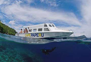Cape Paperu Resort & Spa - Indonesia Dive Resorts - Dive Discovery Indonesia