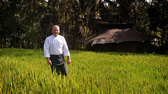 Rice field - Capella Ubud, Bali - Resorts in Indonesia