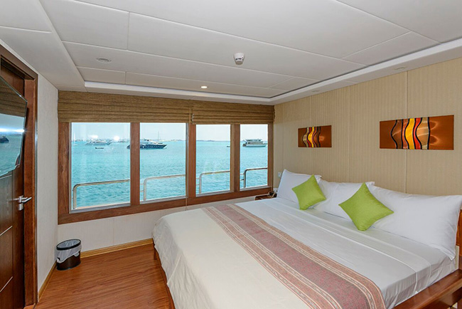 Stateroom - M/V Carpe Novo Explorer - Maldives Liveaboards