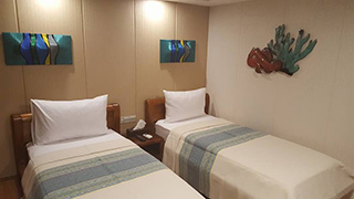 Stateroom - M/V Carpe Novo Explorer - Maldives Liveaboards