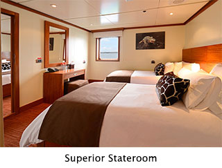 Superior Stateroom - Celebrity Xperience - Galapagos Liveaboards - Dive Discovery Galapagos
