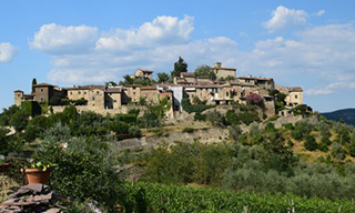 Chianti Winery