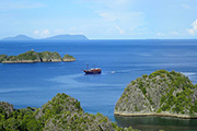 Damai 1 photo by Pat Williams