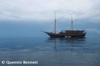 Indonesia Trip Report: Damai Dua (2) August 3-14 2013 Raja Ampat and Cenderawasih Whalesharks!
