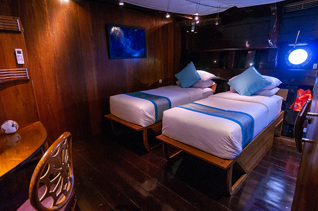 Deluxe Twin Stateroom - Dewi Nusantara  - Indonesia Liveaboard