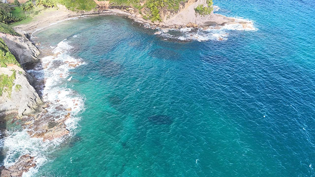 Drone images by Bill MacDonald