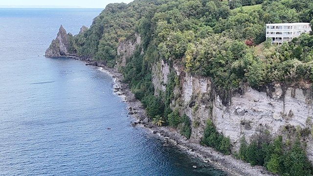 Dominica Sperm Whale Snorkel Encounter, January 4-14, 2026 Trip Report - Drone image by Bill MacDonald