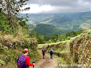 El Camino Costa Rica, 10 Days - Dive Discovery
