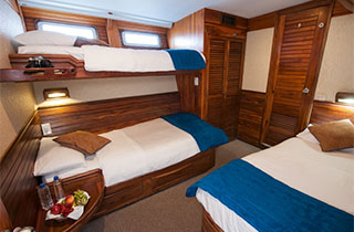 Cabin - M/Y Eric - Galapagos Liveaboards - Dive Discovery Galapagos