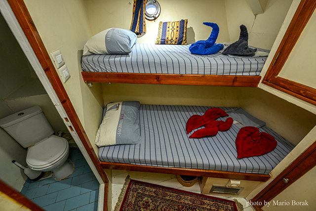 Cabin - M/Y Felicidad II - Djibouti Live Aboards - Dive Discovery