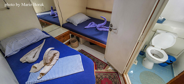 Cabin - M/Y Felicidad II - Djibouti Live Aboards - Dive Discovery